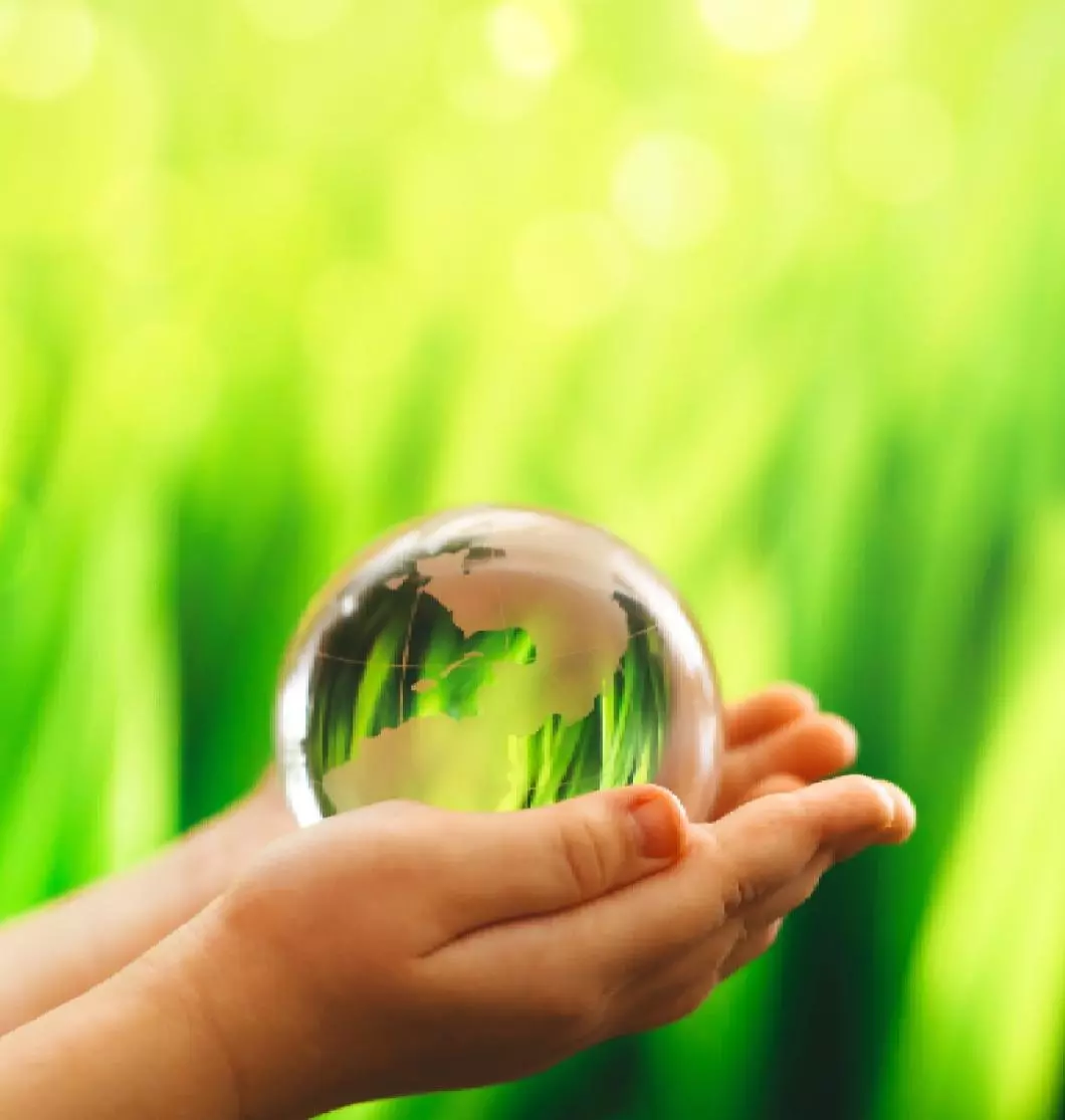 image-25-copyright (1)